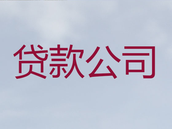 武义县贷款公司